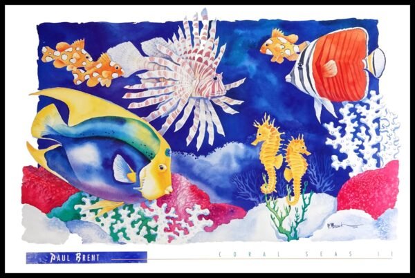 PBD 1163 Coral Seas II